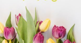 تبریک سال نو (3)